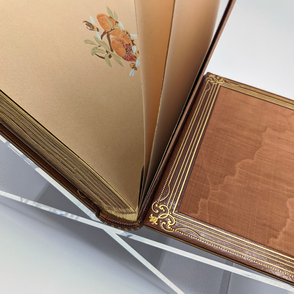 MAETERLINCK Maurice - SCHWABE Carlos. La vie des abeilles.