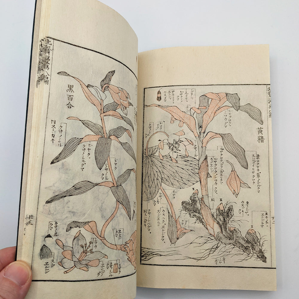 HOKUSAI Katsushika. Mangas - Sketchbooks