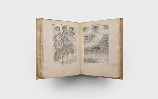 NAZARI Giovani Battista.  Della Tramutatione Metallica Sogni Tre