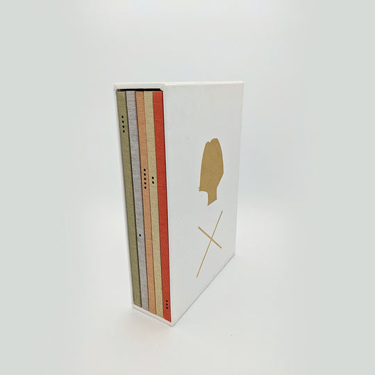GOLDBERG Carin. School of Visual Arts - Senior Library 2004