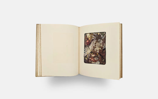 AESOP -  DETMOLD Edward. The Fables of Aesop.