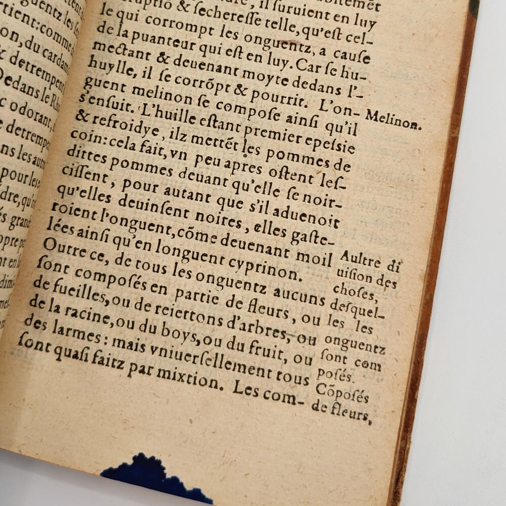 Théophraste des Odeurs