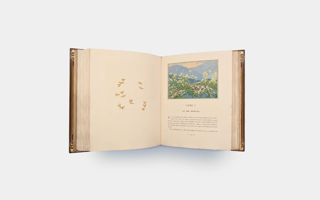 MAETERLINCK Maurice - SCHWABE Carlos. La vie des abeilles.