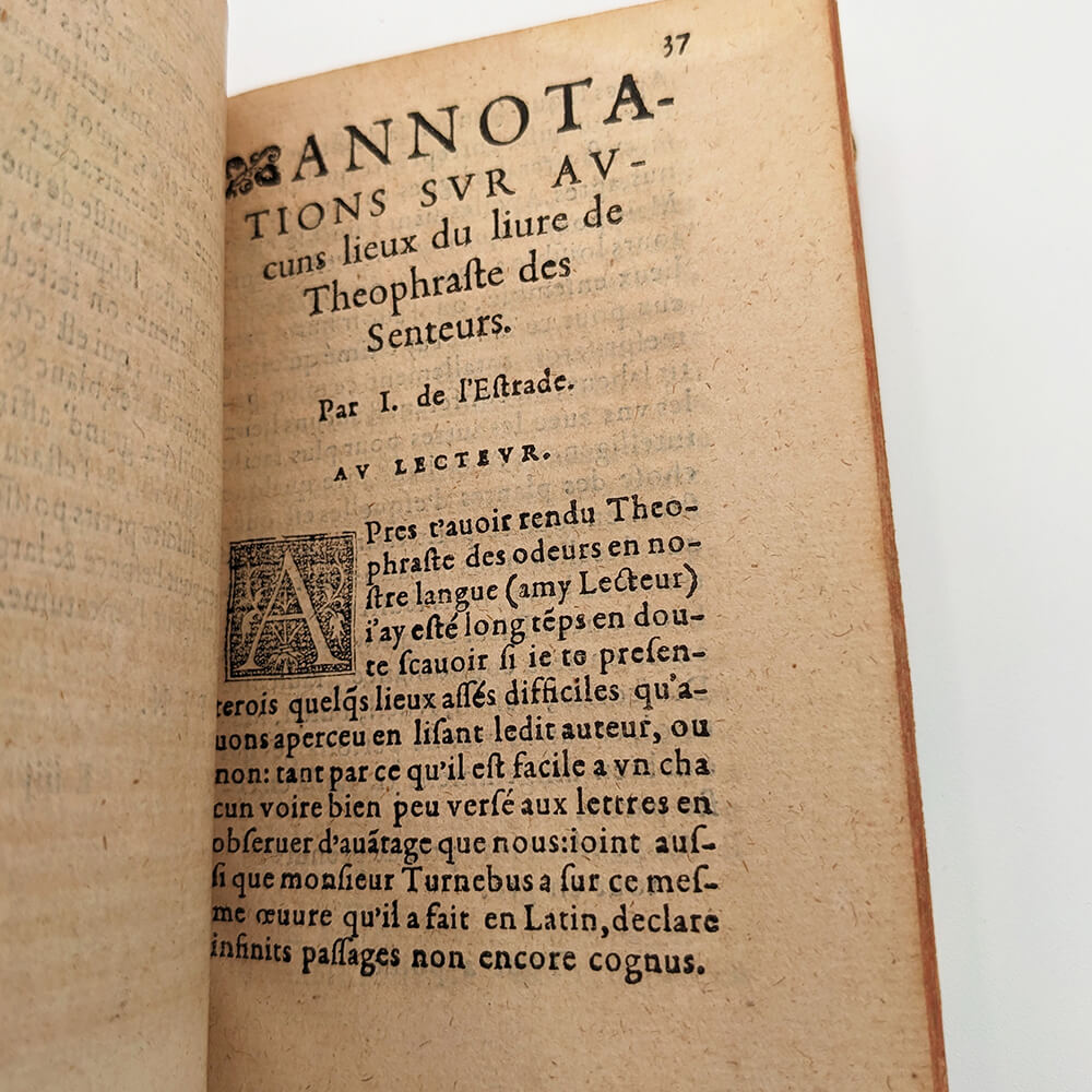 Théophraste des Odeurs