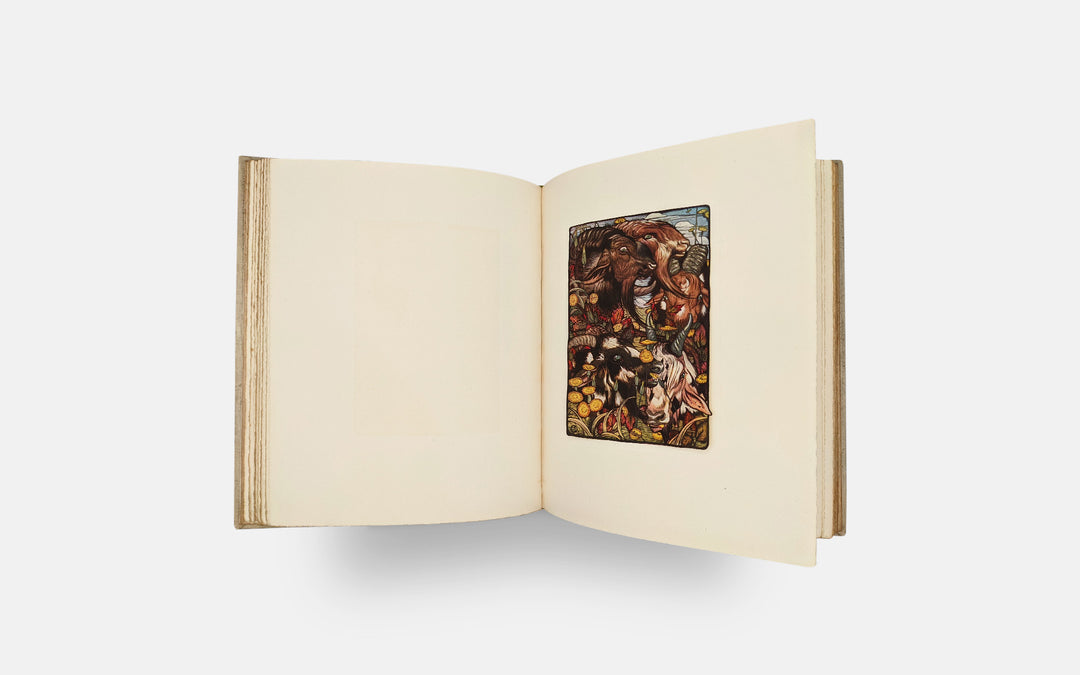 AESOP -  DETMOLD Edward. The Fables of Aesop.