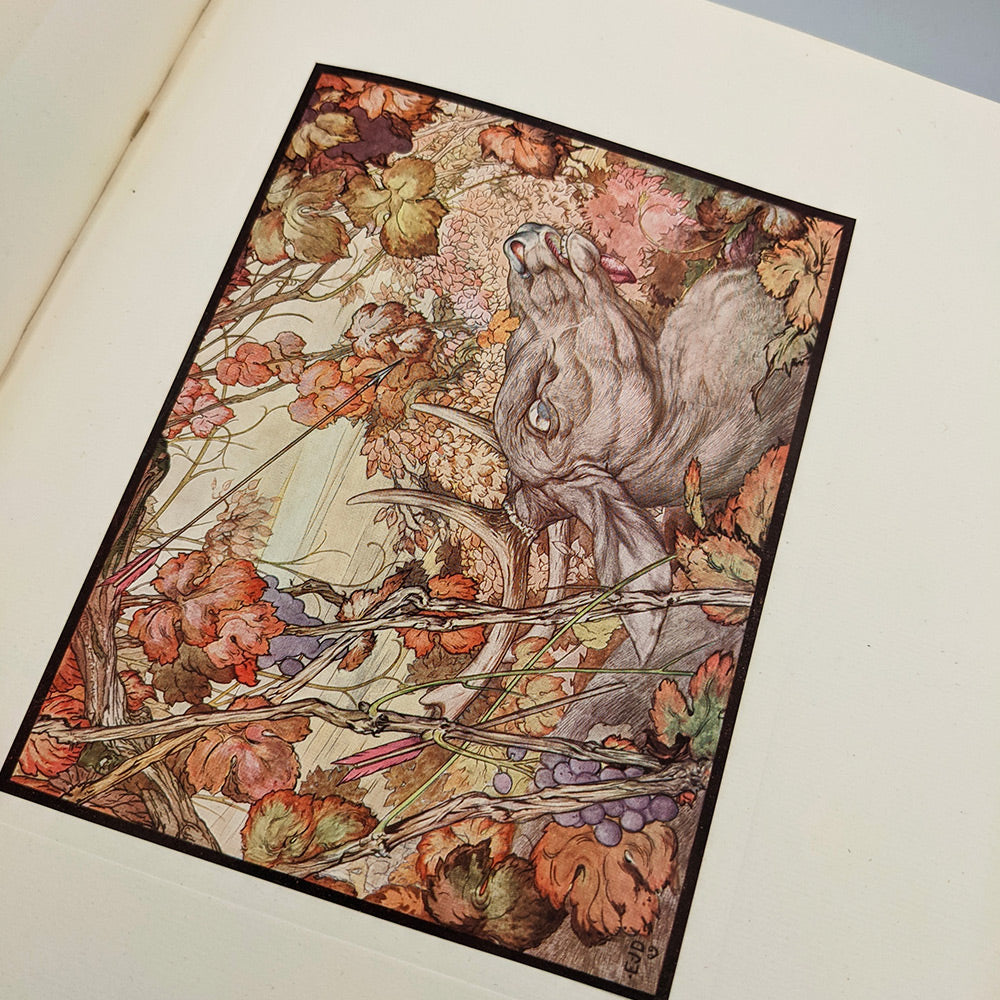 AESOP -  DETMOLD Edward. The Fables of Aesop.