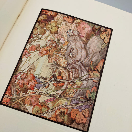 AESOP -  DETMOLD Edward. The Fables of Aesop.
