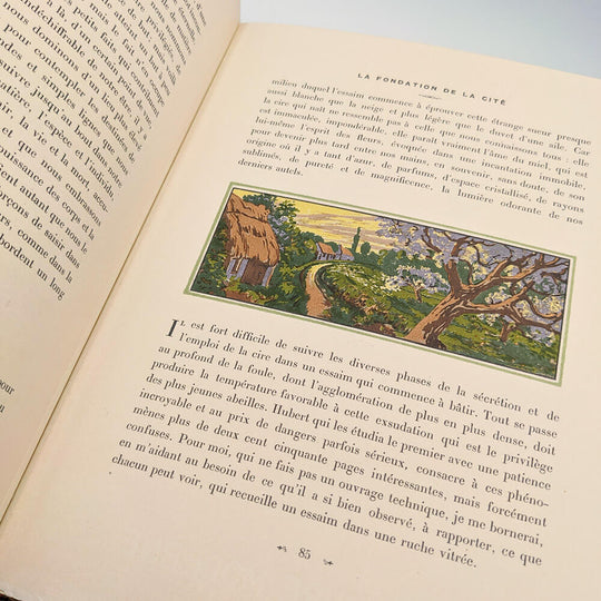 MAETERLINCK Maurice - SCHWABE Carlos. La vie des abeilles.