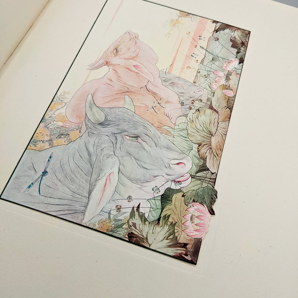 AESOP -  DETMOLD Edward. The Fables of Aesop.