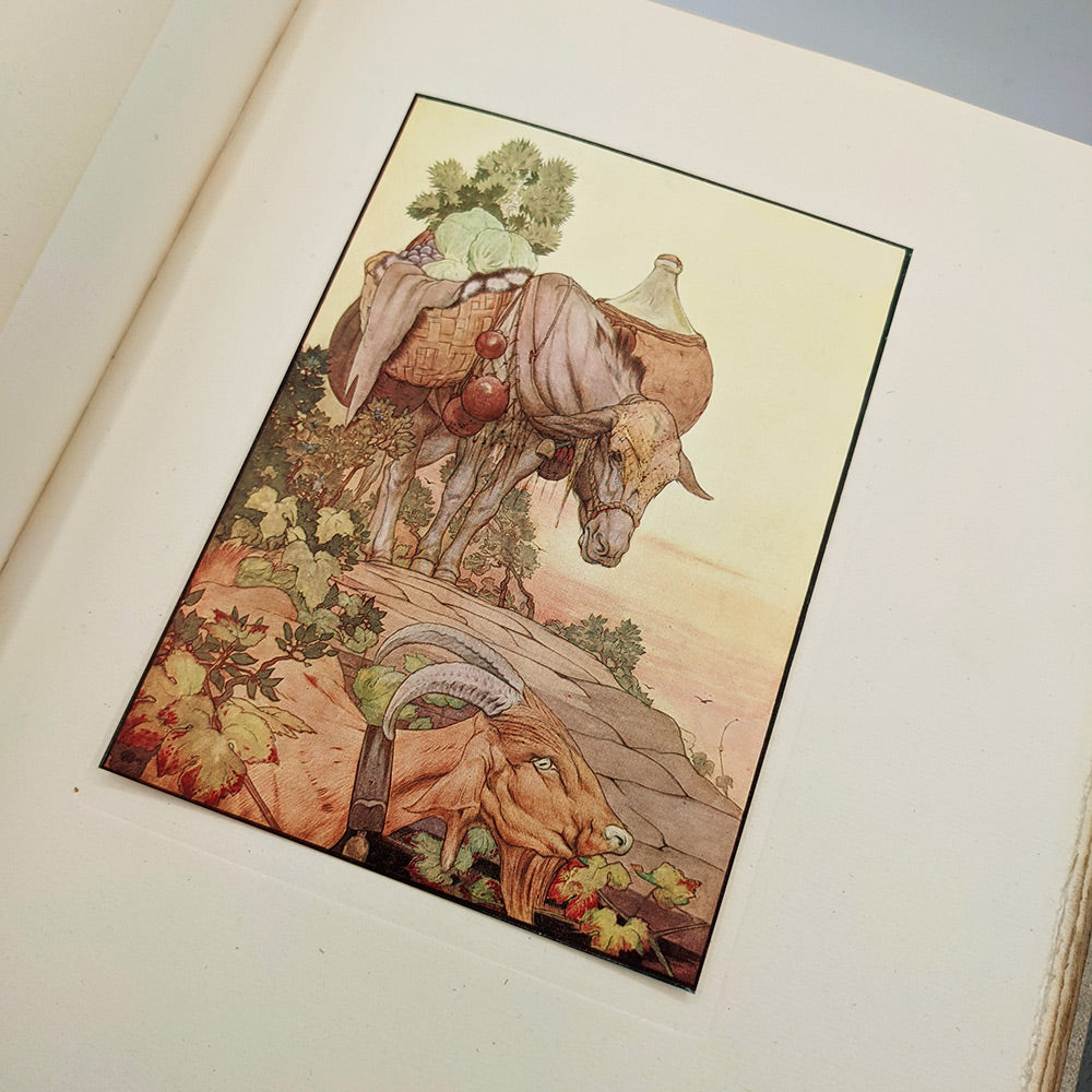 AESOP -  DETMOLD Edward. The Fables of Aesop.