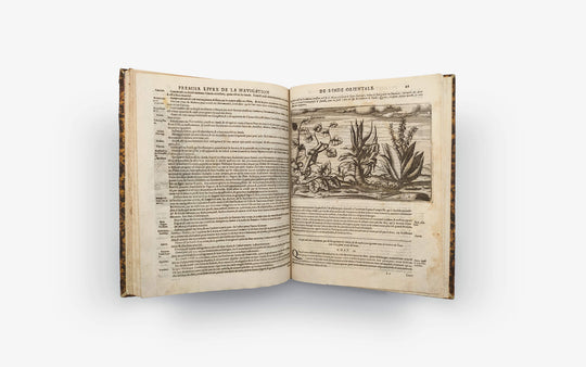 Lodewijcksz. Premier Livre de L'histoire de la Navigation aux Indes Orientales par les Hollandois