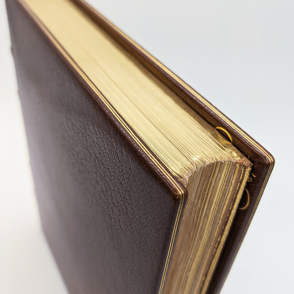 MAETERLINCK Maurice - SCHWABE Carlos. La vie des abeilles.