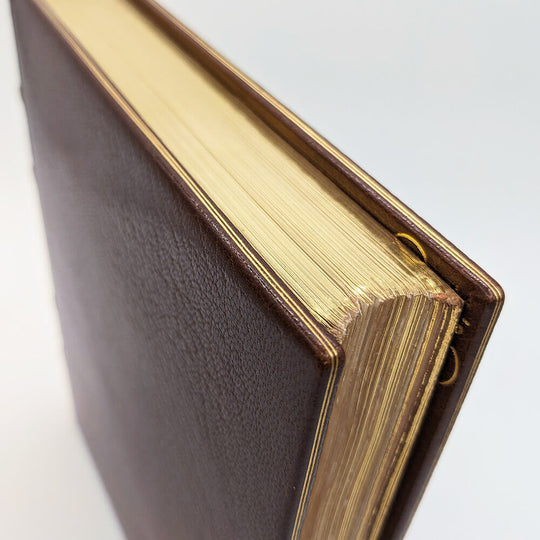 MAETERLINCK Maurice - SCHWABE Carlos. La vie des abeilles.